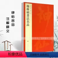 [正版]杨维桢书法名品中国碑帖名品86张氏通波阡表卷行草七绝轴释文注释繁体旁注楷书毛笔字帖古贴碑帖上海书画出版社