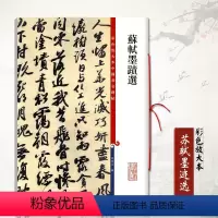 [正版]苏轼墨迹选(彩色放大本)基础实战临摹练习技能技法从入门到精通繁体旁注爱好者碑帖 上海辞书出版社