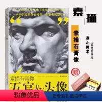 [正版]国美格调素描石膏像五官头像蒋铭科五官分面像头像步骤多角度结构明暗范画一本书搞定素描石膏像
