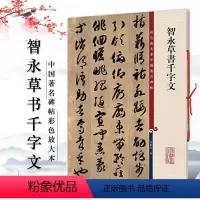 [正版]中国碑帖彩色放大本 智永草书千字文 繁体旁注 草书孙宝文楷书毛笔书法成人学生临摹练字帖墨迹本上海辞书出版