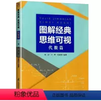 图解经典思维可视(代数篇) 高中通用 [正版]新版图解经典思维可视代数篇 高中数学函数与导数高二数列高三概率统计辅导资料