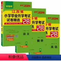 [3本]语数英-江苏专用 小学升初中 [正版]小升初真卷2024江苏省小学毕业升学考试试卷精选28套卷语文数学英语小考春