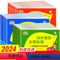 [全套3册]语文+数学+英语 三年级下 [正版]2024春 亮点给力同步跟踪全程检测及各地期末试卷精选一二 三四4五5六