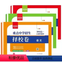 语数英(3本) 小学升初中 [正版]小升初真卷2023春雨重点中学招生择校卷五年真题卷分类卷语文数学英语六年级总复习资料