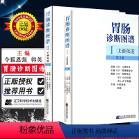 [正版]2册 胃肠诊断图谱Ⅰ上消化道+胃肠诊断图谱Ⅱ下消化道 消化内科学临床案例诊治教程参考书籍 辽宁科学技术出版社9