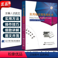 [正版]实用橡皮障隔离技术 主编卢奕文 陈晗 口腔临床实用新技术种植修复技术书籍口腔修复书 辽宁科学技术出版社9787