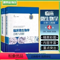 [正版]2册 临床微生物学诊断与图解第4版第四版 周庭银 章强强 临床微生物图谱教程参考工具书籍 上海科学技术出版社9