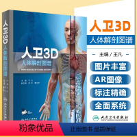 [正版]3D人体解剖图谱 王凡计算机绘画技术绘制3D人体解剖彩色图谱人体结构三维模型 人体解剖结构3D形态书籍人体解剖