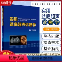 [正版] 实用盆底超声诊断学 主编张新玲 盆骨临床案例诊治教程 超声医学参考工具书籍 人民卫生出版社978711727