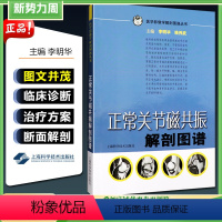 [正版] 医学影像解学解剖图谱丛书 正常关节磁共振解剖图谱 主编李明华 姚伟武 上海科学技术出版社9787532397