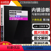 [正版] 内镜诊断与鉴别诊断图谱下消化道第2版 主编日多田正大 消化内科学临床案例诊治教程参考书 辽宁科学技术出版社9