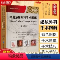 [正版] 辛曼泌尿外科手术图解 第四版 王东文 纪志刚 主译 泌尿外科手术图解及手术技能指导 北京大学医学出版社 97