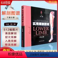 [正版] 实用解剖图谱 下肢分册第三版第3版 高士濂 实用解剖临床案例教程 基础医学参考工具书籍 上海科学技术出版社9