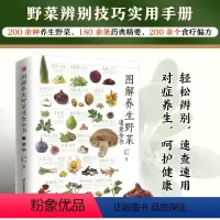 [正版]图解养生野菜速查全书 200余种野菜辨别技巧、健康采食方法,180余条药典精要,200余个食疗偏方,内容翔实。