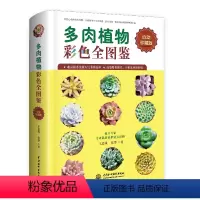 [正版]多肉植物彩色全图鉴 怦然心动的多肉植物,专业精美的多肉图鉴,给你非同一般的多肉观赏和种植乐趣 花卉专家专业栽培