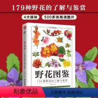 [正版]野花图鉴野花的基本知识从生活形态植物形态别名图片展示详细介绍野花的外形及特点从根本上认识野花自然科普图鉴百科书