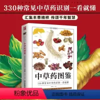 [正版]中草药图鉴介绍中草药的采收 选购 保存 炮制煎煮 草药功效 中草药的性味 药材来源 实拍中草药图片 辨别 认识