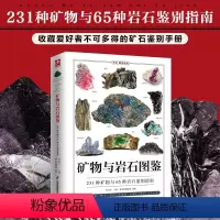 [正版]矿物与岩石图鉴一本全卤化物氧化物岩浆岩变质岩等精心挑选详细讲解学会辨认各种矿物与岩石自然科学收藏鉴赏书金刚玛瑙
