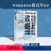 [正版]欧拉崛起:从华为走向世界 华为幕后真实的故事揭示华为被制裁后再次崛起的秘密书籍