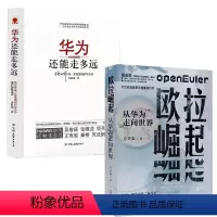 [正版]2册欧拉崛起:从华为走向世界+华为还能走多远 书籍
