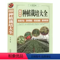 [正版]新农村种植栽培大全//家庭农作物种植入门教程实用大全书籍