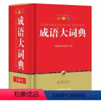 [正版] 成语大词典(精装彩图版)