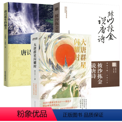 [正版]3册大唐群星闪耀时+披沙拣金说唐诗+唐诗诞生的地方 书籍