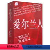 [正版]黑色系列:爱尔兰人查尔斯·勃兰特著马丁斯科塞斯同名原著小说