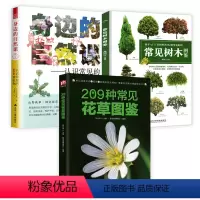 3册 209种常见花草图鉴+身边的自然课+新手入门轻松辨识常见树木 [正版]身边的自然课:认识常见的100种植物 花福小