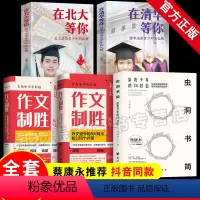 [正版]全5册蔡康永 虫洞书简给青少年的74封信+作文制胜+在清华北大等你作文提分的8大战术和238个计策高考满分作文