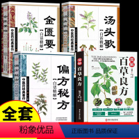 [正版]全4册 图解百草良方+偏方秘方+汤头歌诀+金匮要略 中药书籍中医基础入门中药材药方中医养生中草药中药材偏方药方