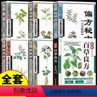 [正版]全6册 图解百草良方+偏方秘方+汤头歌诀+金匮要略 中药书籍中医基础入门中药材药方中医养生中草药中药材偏方药方