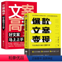 [正版]全2册 文案变现写出高能文案的28节课+文案高手好文案马上上手 厦九九写作模板变现途径个人IP精进文案写作自媒