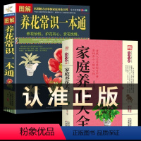 [正版]2册 家庭养花大全 以图解方法掌握家庭养花百科 图解养花常识一本通 全方位图解 养花书 花卉大全 养花书籍种花