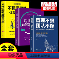 [正版]全3册 管理不狠团队不稳+不懂带团队你就自己累聪明人是如何带团队的 识人用人管人高情商企业管理书籍执行力公司经