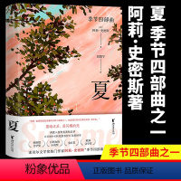 [正版]夏 季节四部曲第四部 阿莉`史密斯著 诺贝尔文学奖热门作家英国 小说 欧美 当代 意识流文学 浙江文艺出版社畅