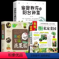 [正版]全3册图解1平米的私家菜园+家庭养花与阳台种菜+我的家庭蔬菜园杯子花盆蔬菜种植室内室外西红柿黄瓜茄子青菜辣椒草