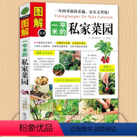 [正版] 图解一平米的私家菜园 蔬菜种植技术室内室外西红柿黄瓜茄子青菜辣椒草莓阳台露台阳台庭院顶楼 种菜栽培实用手册书