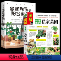 [正版]全2册 图解一平米的私家菜园+家庭养花与阳台种菜 蔬菜种植技术室内室外西红柿黄瓜茄子青菜辣椒草莓露台庭院顶楼种