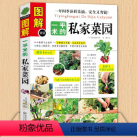 [正版] 图解一平米的私家菜园 蔬菜种植技术室内室外西红柿黄瓜茄子青菜辣椒草莓阳台露台阳台庭院顶楼 种菜栽培实用手册书