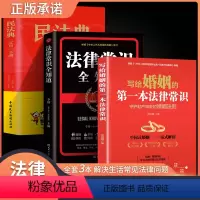 [正版]全3册 写给婚姻的第一本法律常识+漫画民法典+法律常识 婚姻家庭法律识认知婚姻家庭法律法规普通人一读就懂的法律