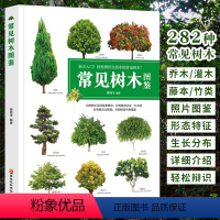 [正版]常见树木图鉴 植物图鉴书籍大全 小学生植物百科全书青少年版中国常见植物野外识别手册给孩子们的植物书 关于中国植