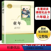 童年 [正版]童年名著阅读课程化丛书人教版语文六年级上册学生课外阅读书目 儿童文学世界名著学生必经典书目 高尔基原著人民