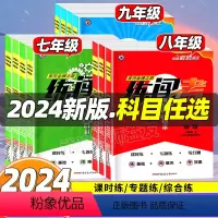 语文 九年级上 [正版]2024练闯考7七年级8八年级9九年级上册下册语文数学英语物理化学历史生物地理道德与法治人教版同