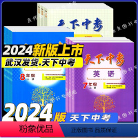 英语 九年级下 [正版]2024天下中考英语七年级上册英语八年级上册英语九年级上册英语789年级上册英语天下中考