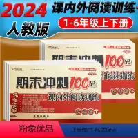 课内外阅读训练 一年级下 [正版]2024新版期末冲刺100分课内外阅读一二三四五六年级上册下册阅读理解试卷人教版小学生