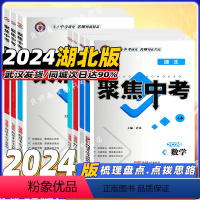 中考语数英物化-5本[湖北版] 湖北省 [正版]2024年聚焦中考语文数学物理化学道德与法治历史人教版科目任选新版 中考