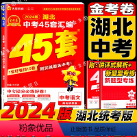 语文 湖北省 [正版]2024年湖北中考45套汇编语文湖北省市各地市中考真题汇编各地市模拟题汇编全国中考真题精选精选中考