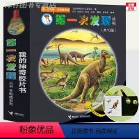 全套10册(平装) [正版]任选丨 第一次发现手电筒系列 全套8册丛书绘本 我们的身体+深海的鱼+走进森林+恐龙的秘密