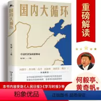 [正版] 国内大循环 全景式解读大循环的开创之作!更加贴近决策层的视角讲透新发展格局下的战略与机遇!